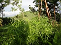 las terrazas-33